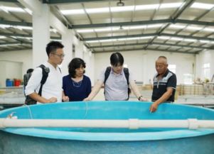 上海市青浦區(qū)農(nóng)業(yè)農(nóng)村委員會(huì)技術(shù)開(kāi)發(fā)現(xiàn)狀與展望