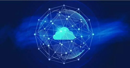 數字技術新浪潮 從少年編程的普及到老年編程的曙光