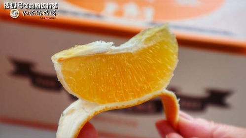 熊貓指南秋季榜 4種水果入選個個是精品，最后一個大有來頭